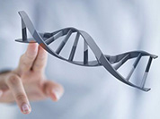 生物醫藥行業(yè)交流會(huì )在石家莊國際人才城召開(kāi)